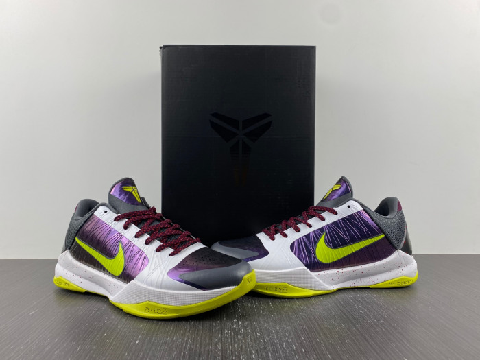 zoom kobe 5 protro 