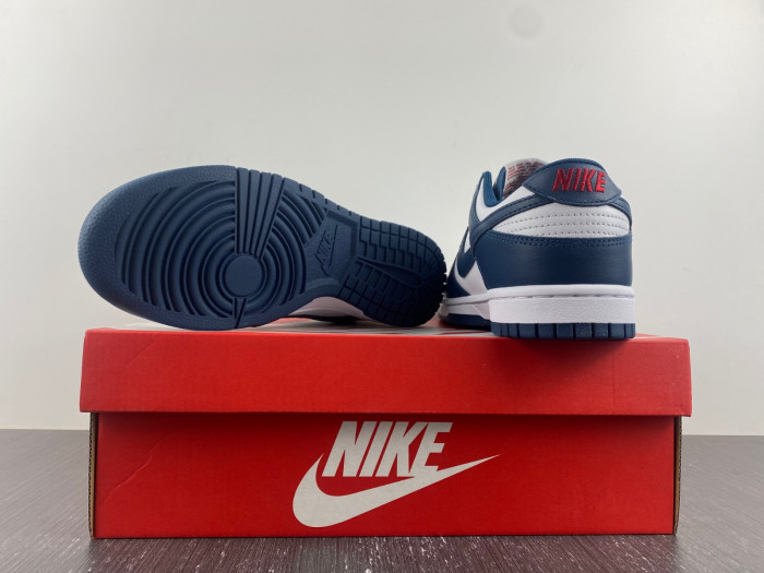 nike dunk low valerian blue - dd1391-400