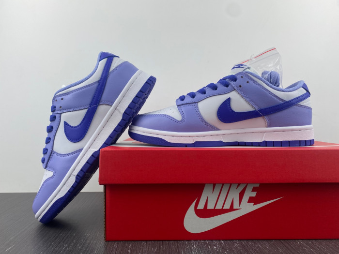 nike dunk low blueberry (gs) - dz4456-100