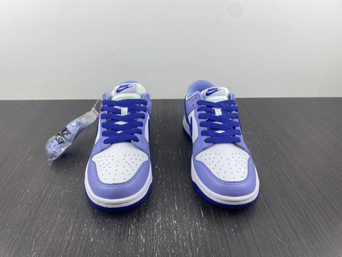 nike dunk low blueberry (gs) - dz4456-100