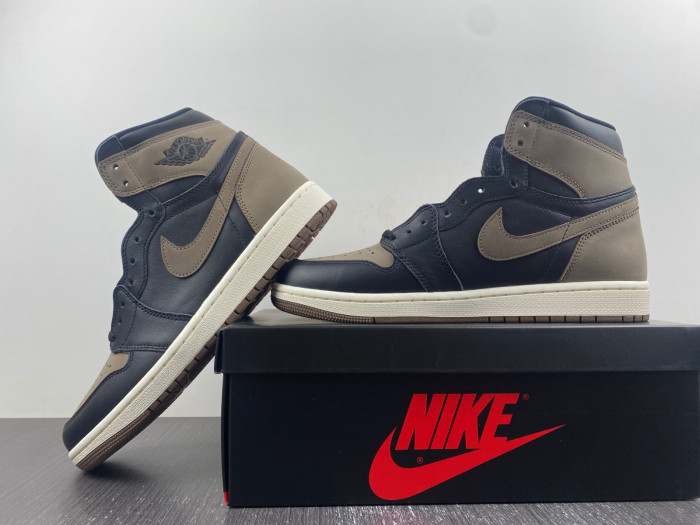 air jordan 1 retro high og "palomino" dz5485-020