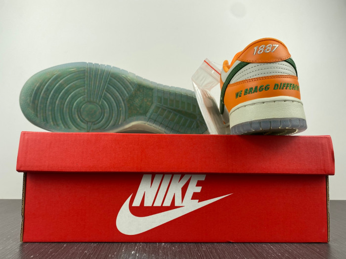 nike dunk low “florida a&m” dr6188-800