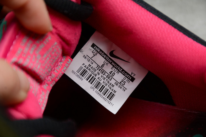 nike dunk sb low premier "N0*Hern lights"724183-063