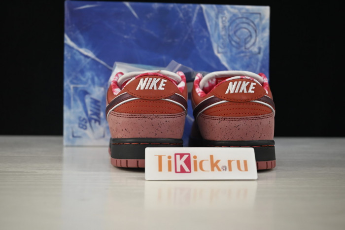 nike sb dunk low concepts red lobster 313170-661