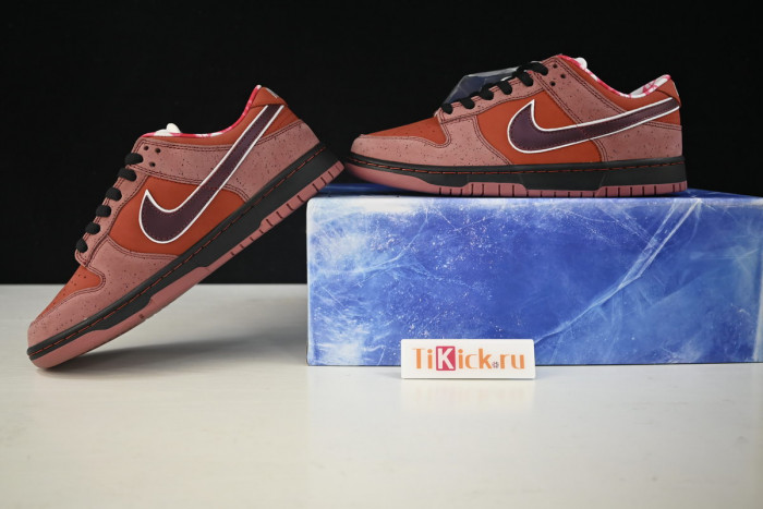nike sb dunk low concepts red lobster 313170-661