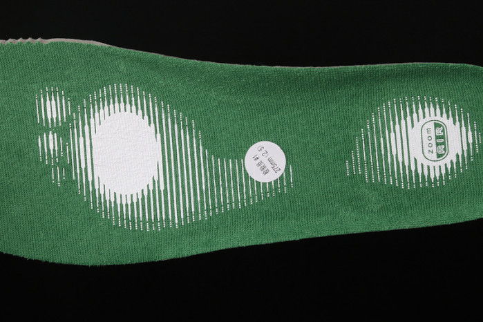 nike dunk sb low heineken 304292-302