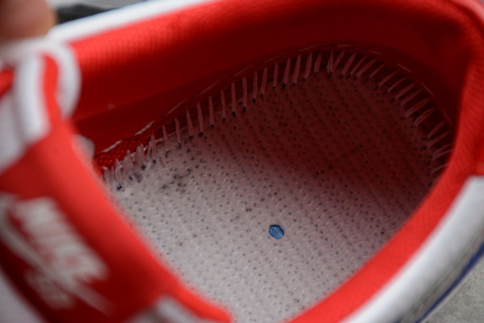 nike dunk sb low ishod wair "bmw" 839685-416