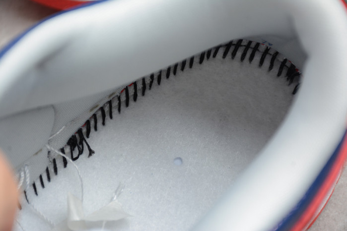 nike dunk low samba (2020) cz2667-400