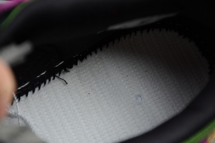 nike dunk low viotech (2019) ct5050-500