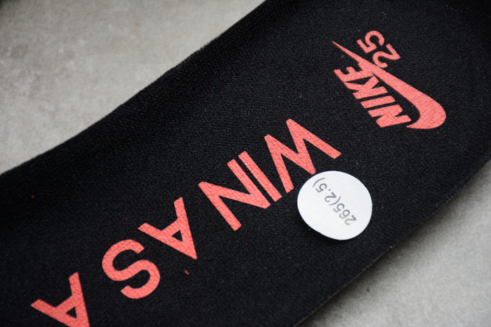 nike sb dunk low 25th years 309242-307