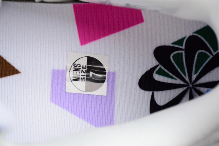 nike dunk low disrupt 2