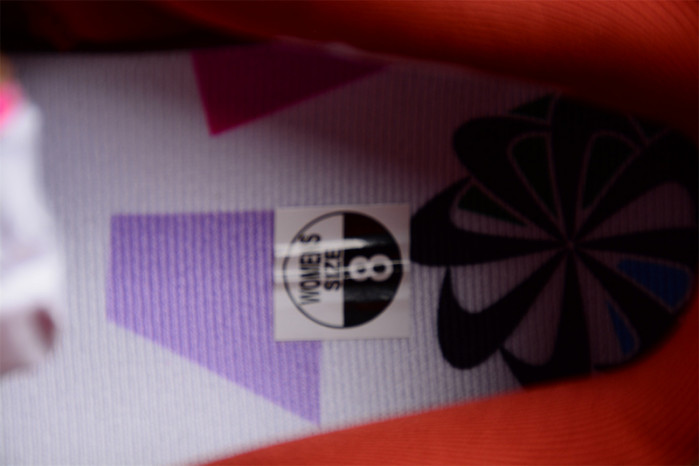 nike dunk low disrupt 2