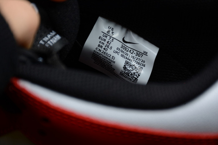 nike sb dunk low 25th years 309242-307