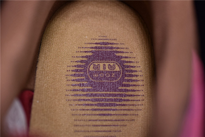 nike sb dunk low anchorman - 304292-672