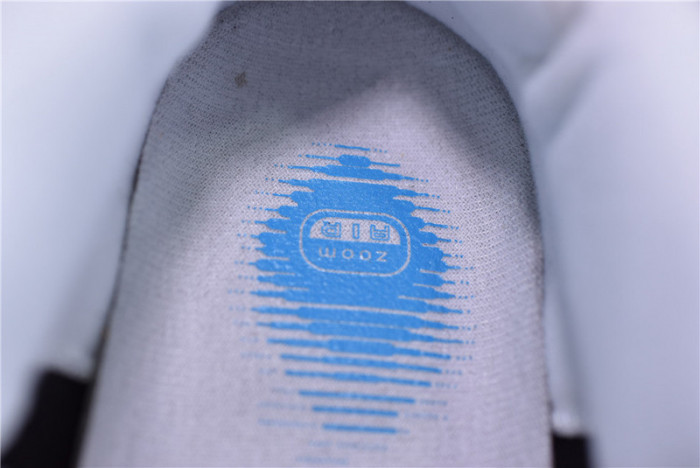 nike dunk sb low loon - 313170-011