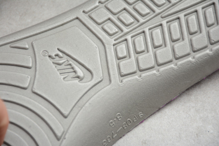 nike dunk low viotech (2019) ct5050-500