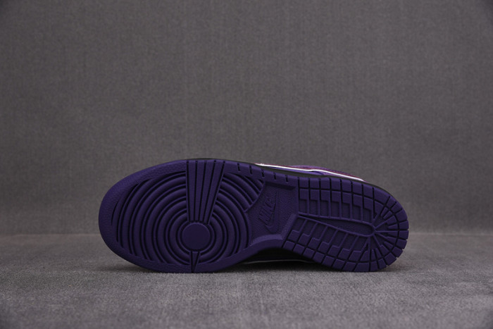 nike sb dunk low concepts purple lobster bv1310-555
